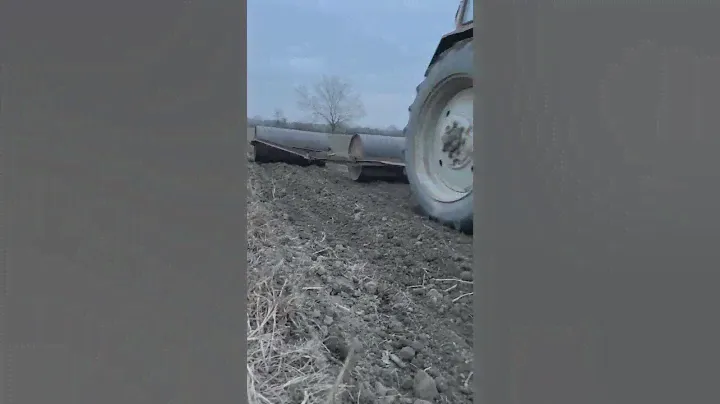 «Лидер и племя. Пять уровней корпоративной культуры»