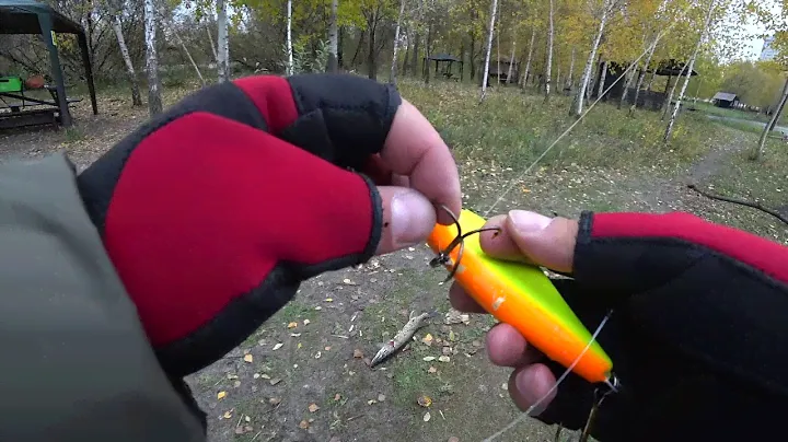 Спининг No-name+Поводки Exclusive Leader. Диаметр 0.8, тест 16 кг. Длина 35 см. Salmo SLIDER F 14 см